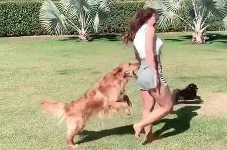 Rafa Kalimann é 'atacada' por cachorro de estimação
